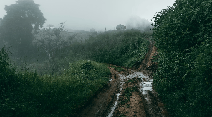 dirt path