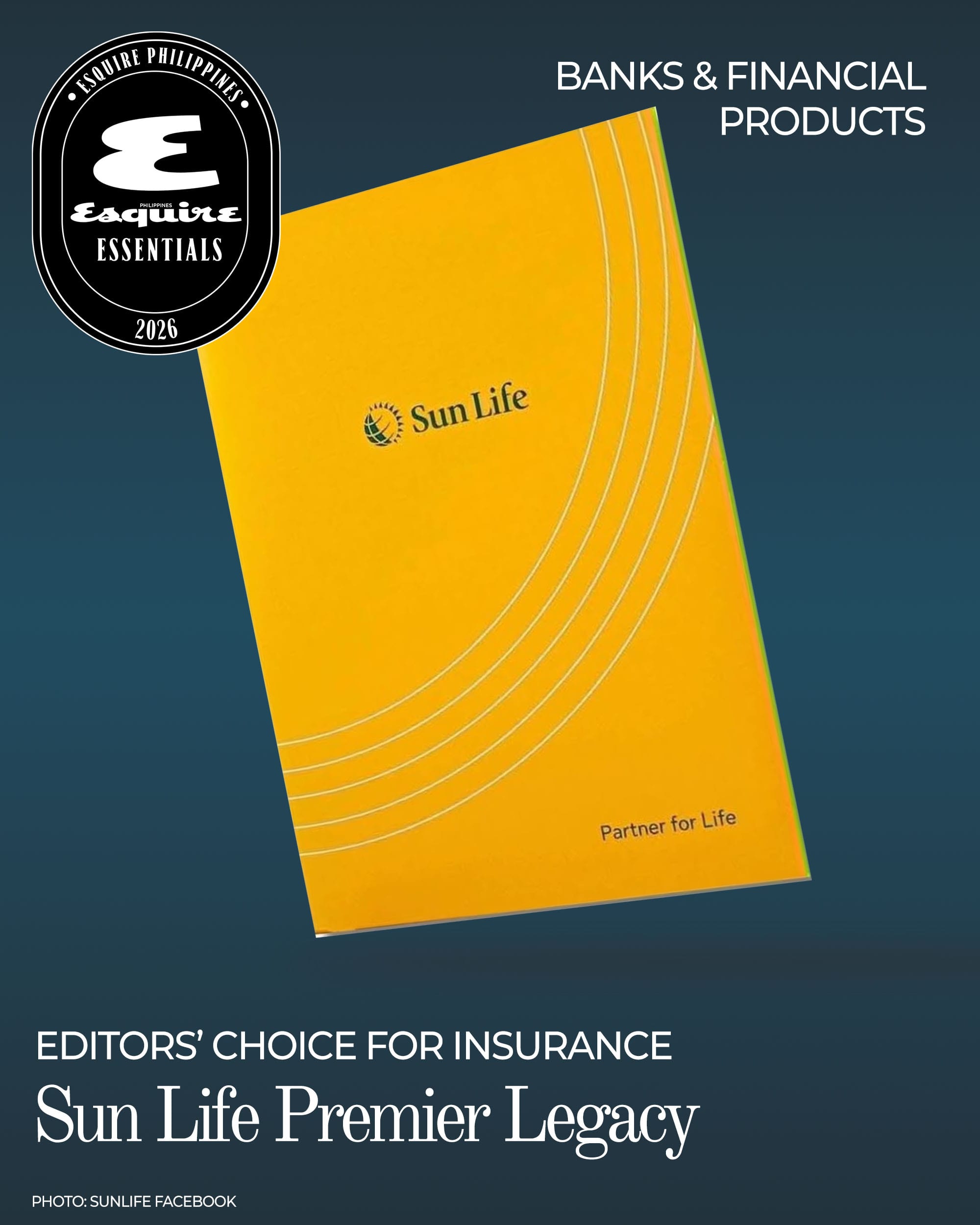 Esquire Essentials Banks and Finance Insurance
