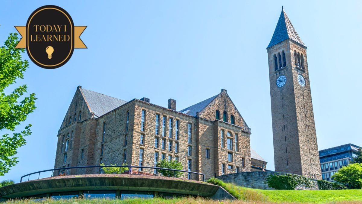 Today I Learned: The Phrase 'Sexual Harassment' Was Made Popular at Cornell in the '70s