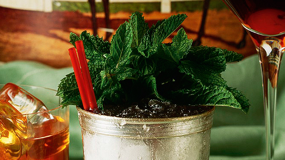 Drink like your favorite writer