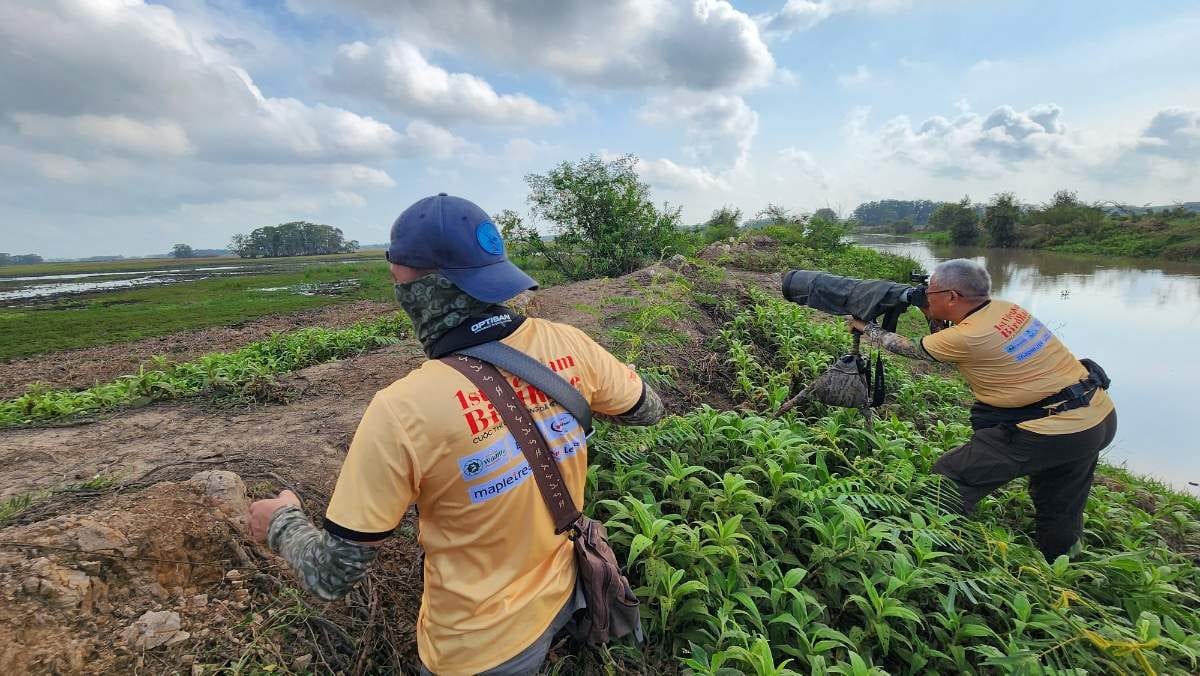 1st vietnam bird race