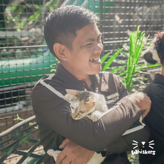 Cat caretaker at sofitel