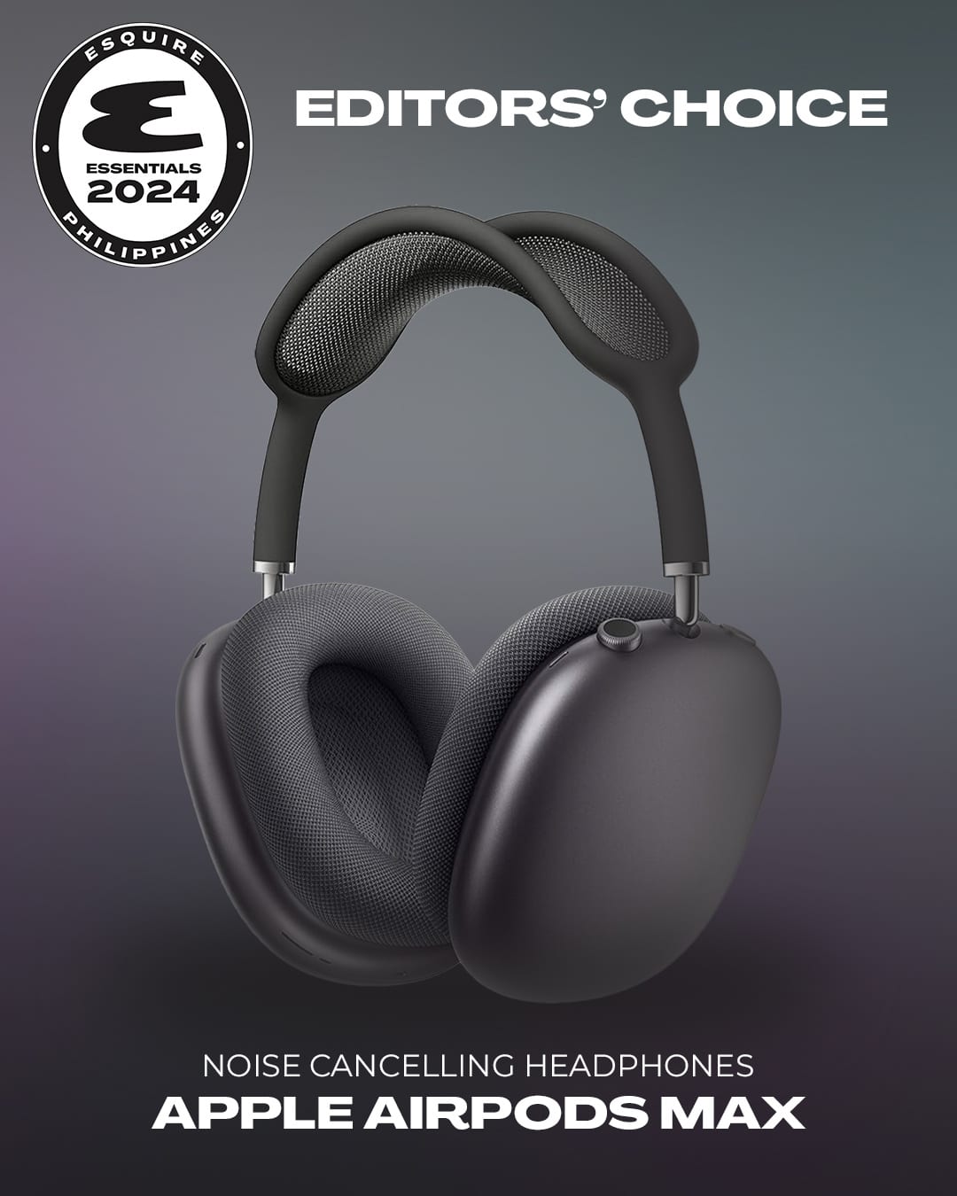 Esquire Essentials AirPods Max
