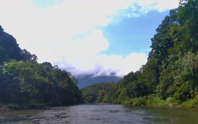 Kelani River surrounded by rainforest
