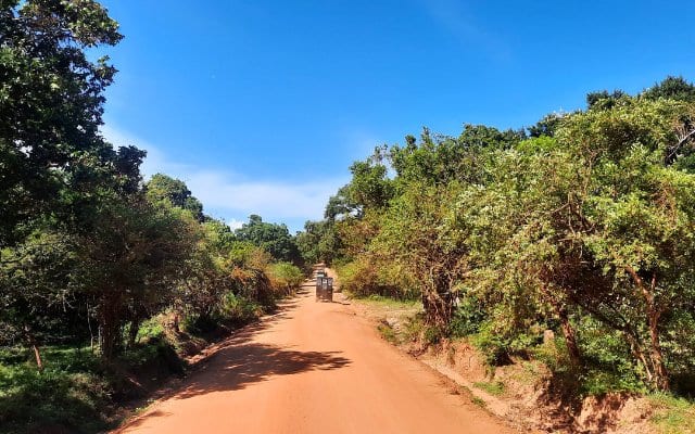 Sri Lanka Yala National Park trucks