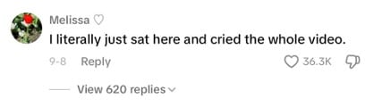 Comment from Steve Burns' Tiktok post