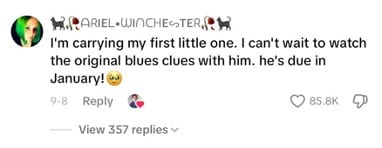 Comment from Steve Burns' Tiktok post