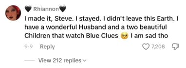 Comment from Steve Burns' Tiktok post