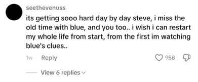 Comment from Steve Burns' Tiktok post