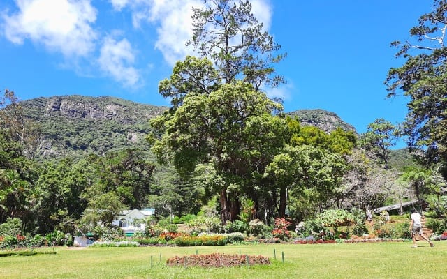 Hakgala Botanical Garden