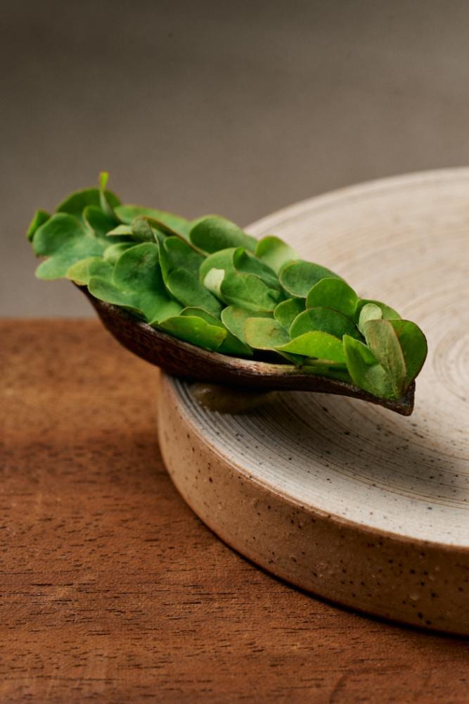 Foie Gras Parfait