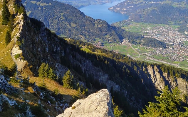 Schynige Platte