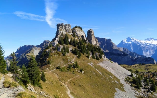 Schynige Platte summit