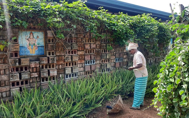 Organic farm