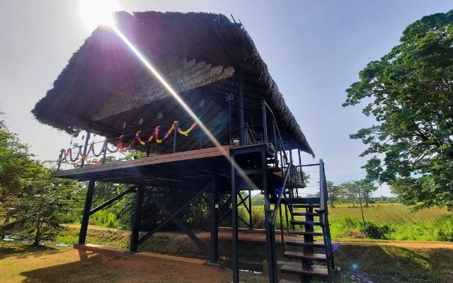 Ayurvie Sigirya yoga