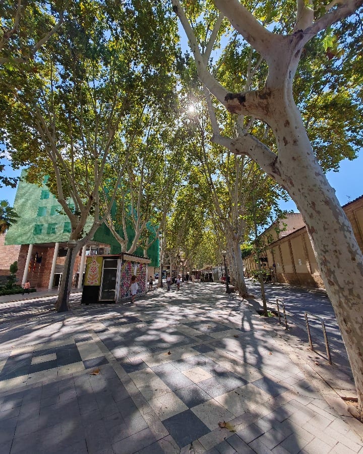 Palma de Mallorca