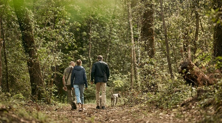 truffle hunting