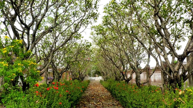 Inside Familia Luzuriaga Cemetery