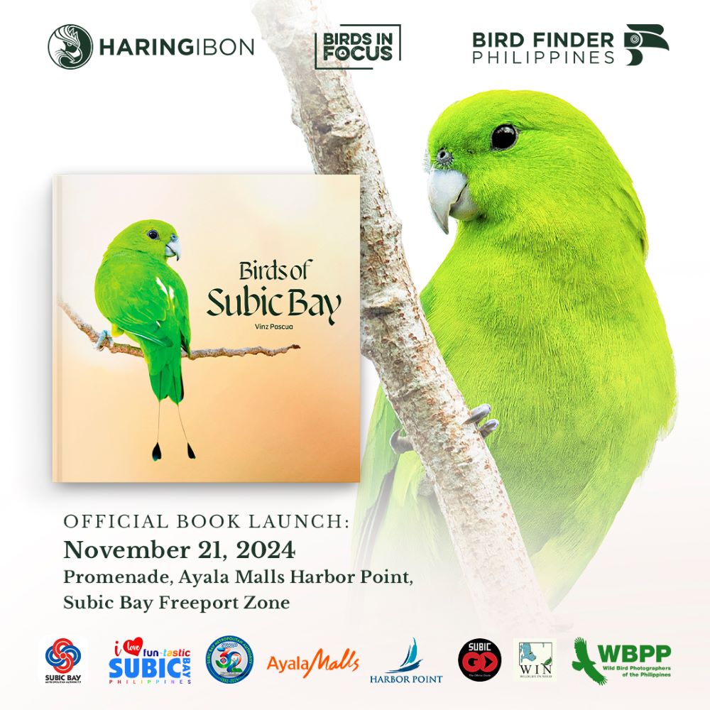 Gen Z Photographer Presents 101 Subic Bay Bird Species In New Book