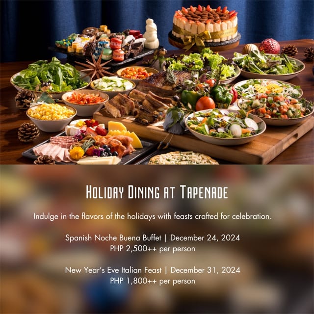 Discovery Primea Christmas