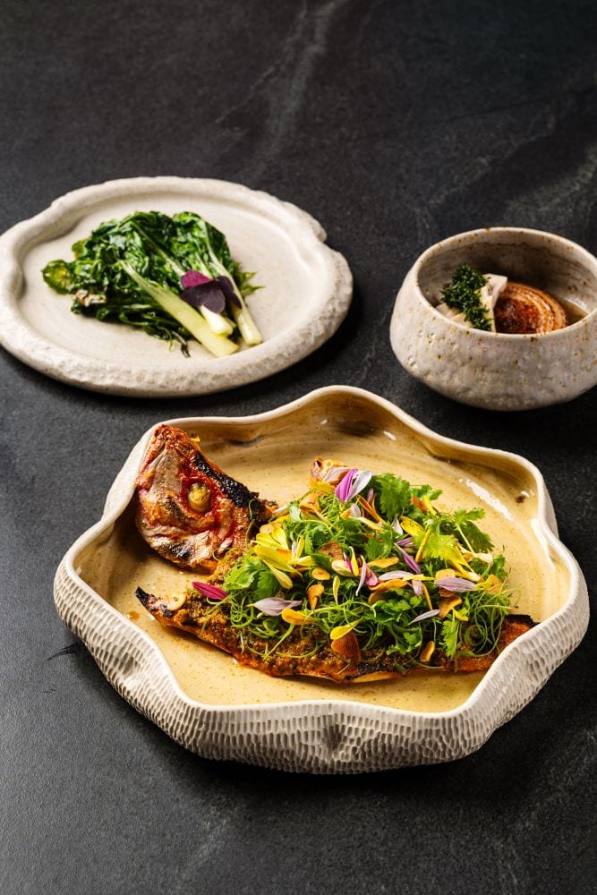 Grilled Dry-aged Red Snapper, Ensalada, and KBL