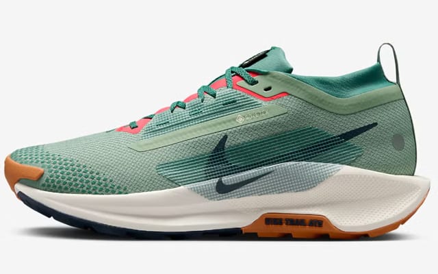Nike Pegasus