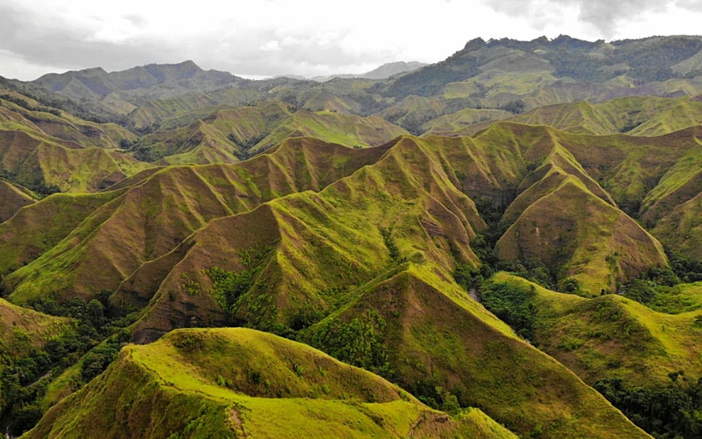 La Palamera, Sultan Kudarat