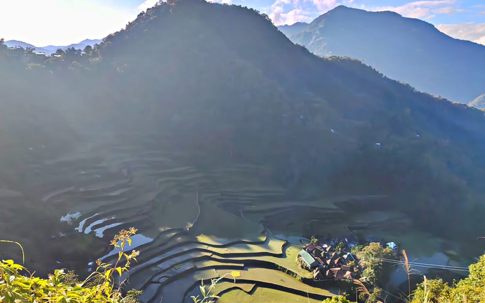 Rice terraces