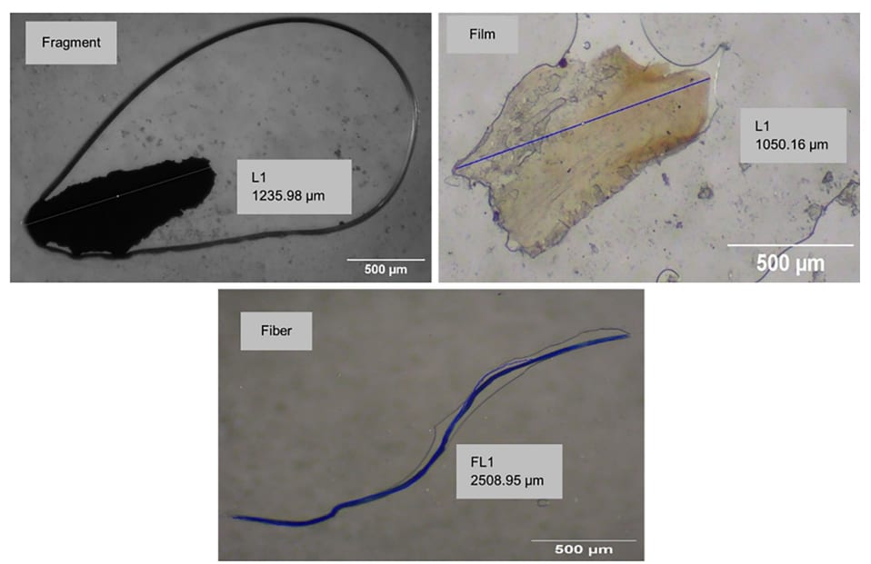 Some of Iligan City’s road dusts microplastics (RDMPs) morphology such as color, shape, and maximum distance.