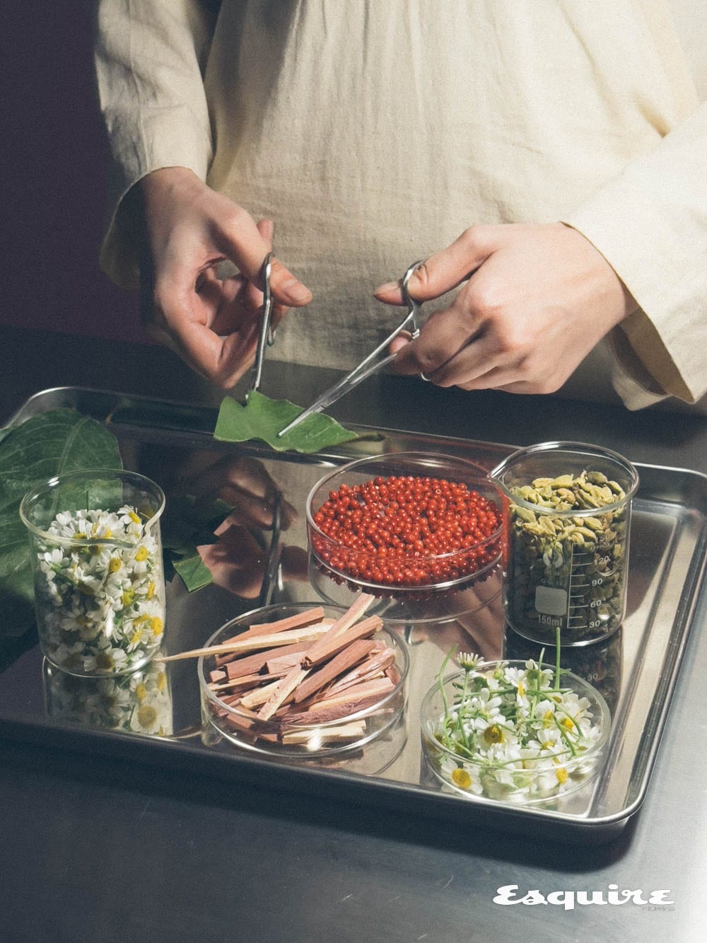 Aurner's key ingredients