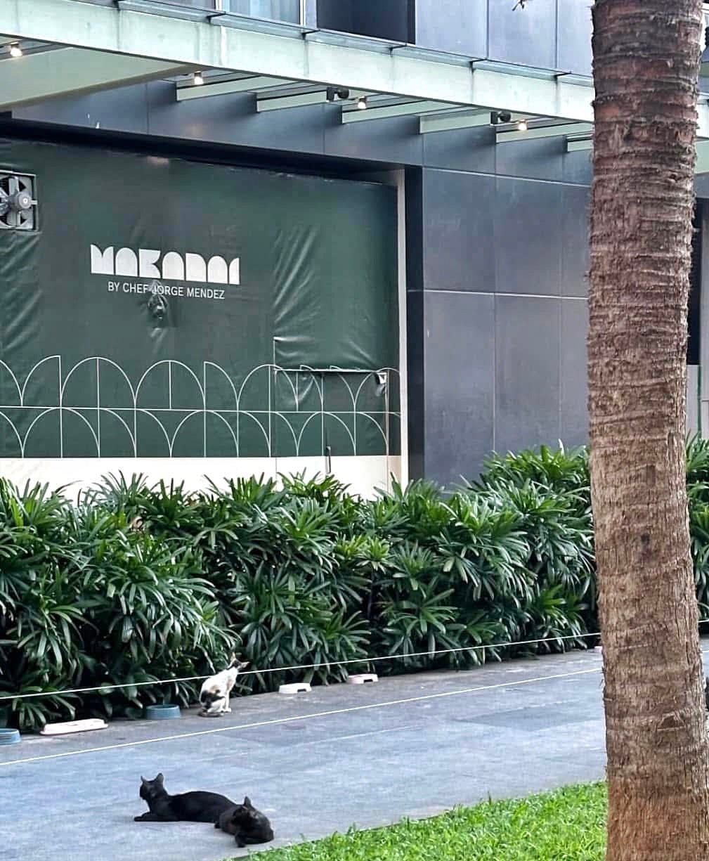 A Peek of Makanai