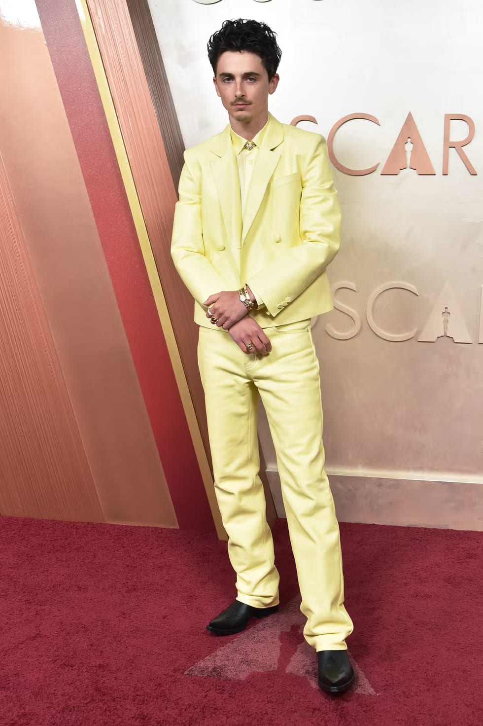 Timothée Chalamet's Cartier Bagnoire