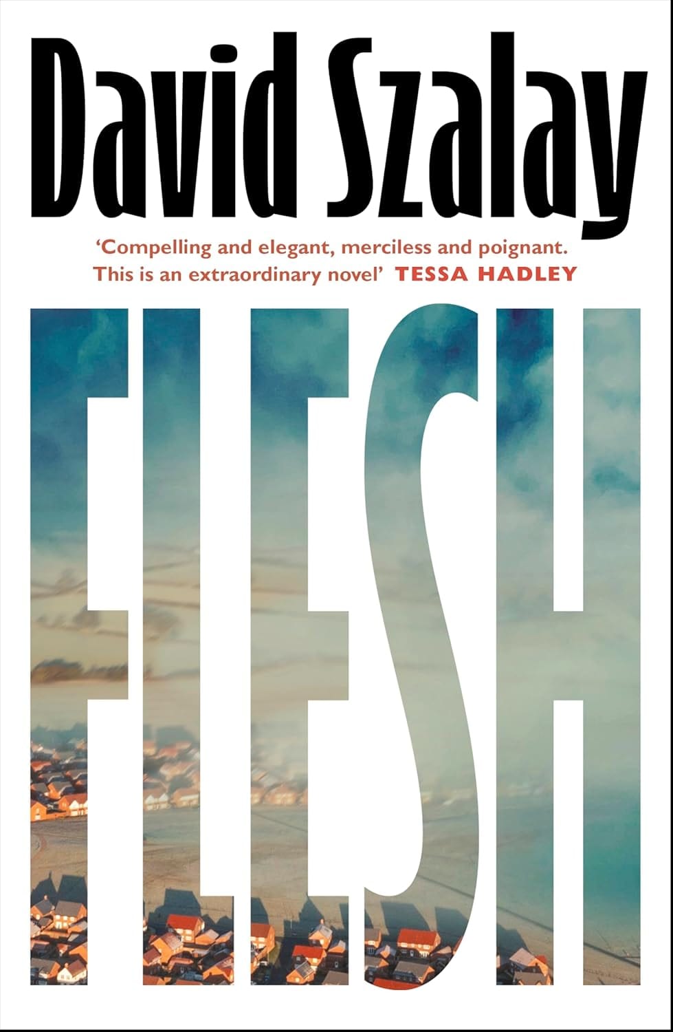 David Szalay’s Flesh