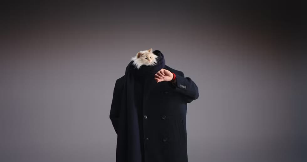 Choupette the cat models Hublot watches