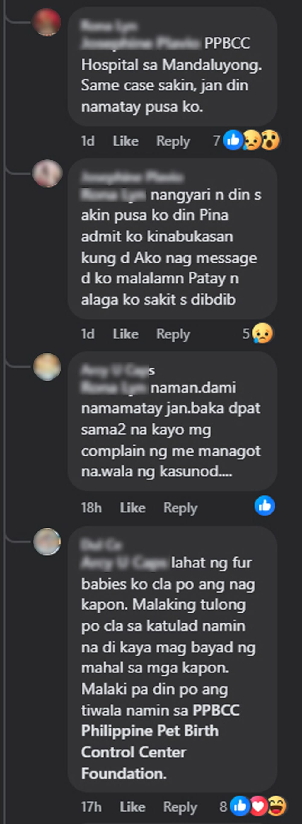 PPBCC allegations