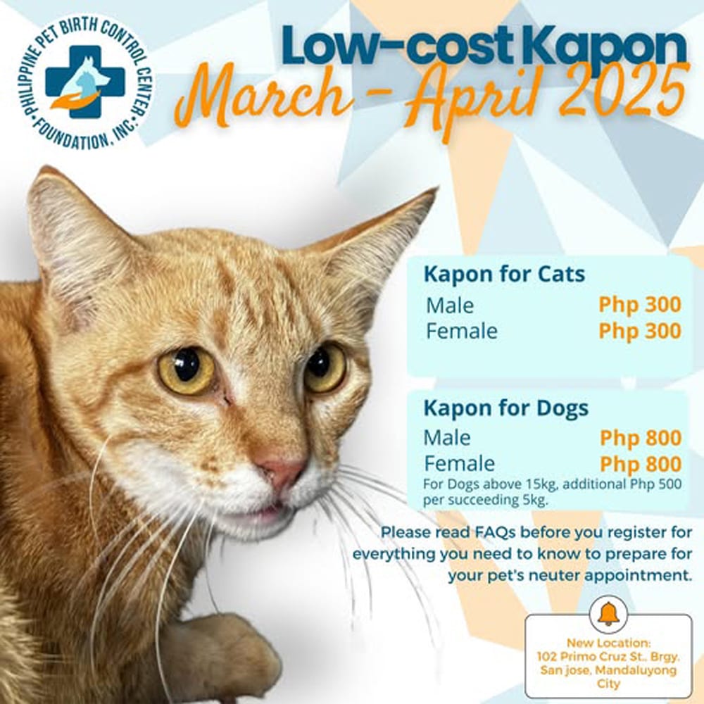PPBCC Foundation Free Kapon