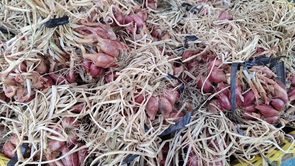 Pasil Slow Food Community local produce