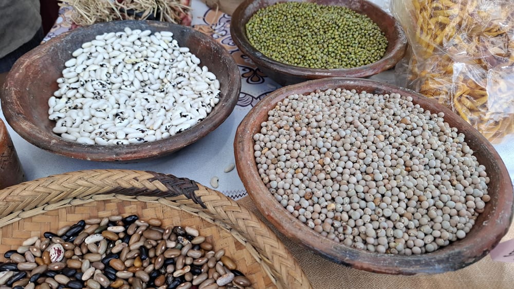 Pasil Slow Food Beans