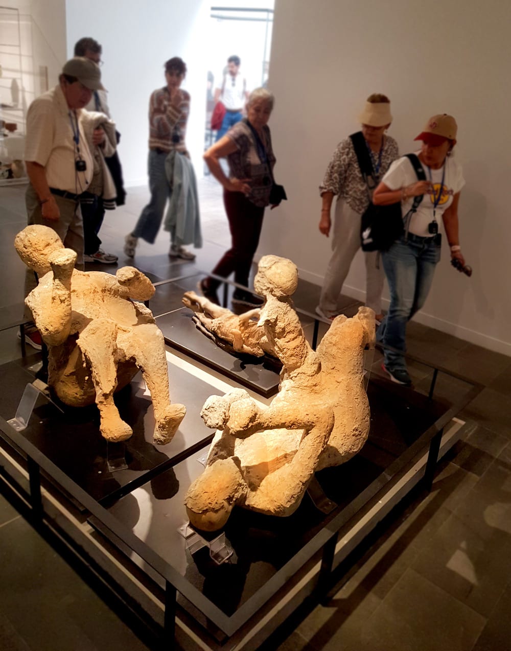 Pompeii casts
