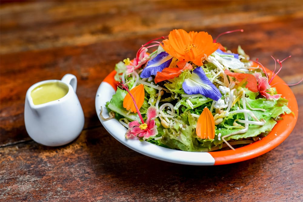 Organic Garden Salad