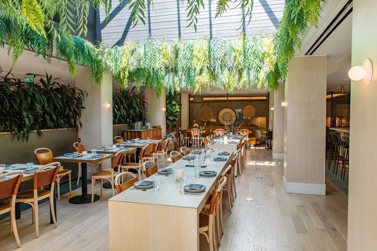 Abacá Dining Room