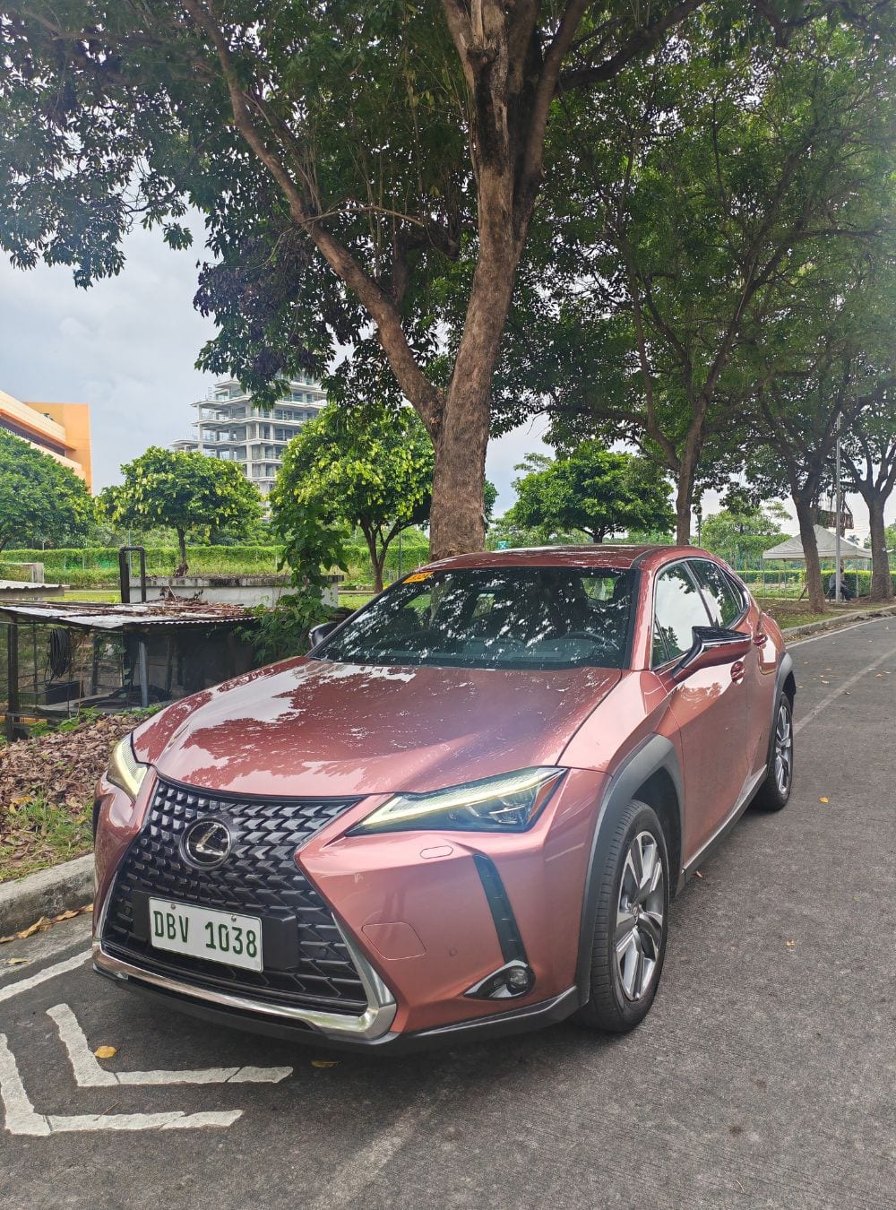 lexus ux300e