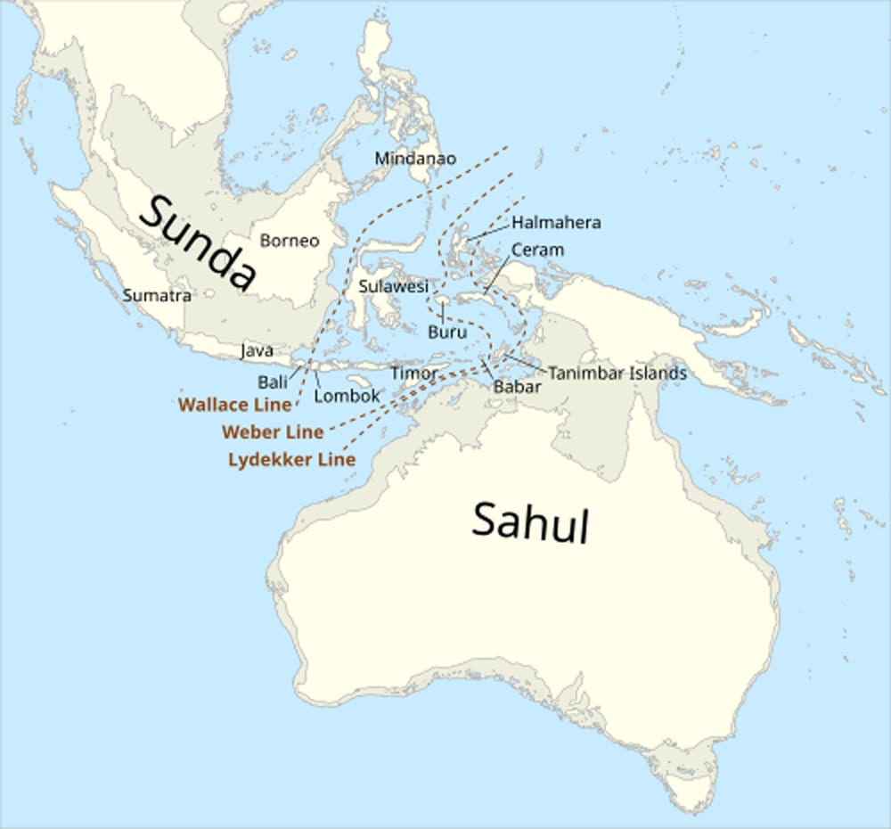 Wallace's Line delineates Australian and Southeast Asian fauna.