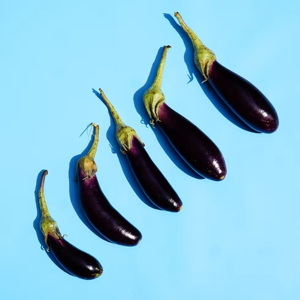 Penis filler