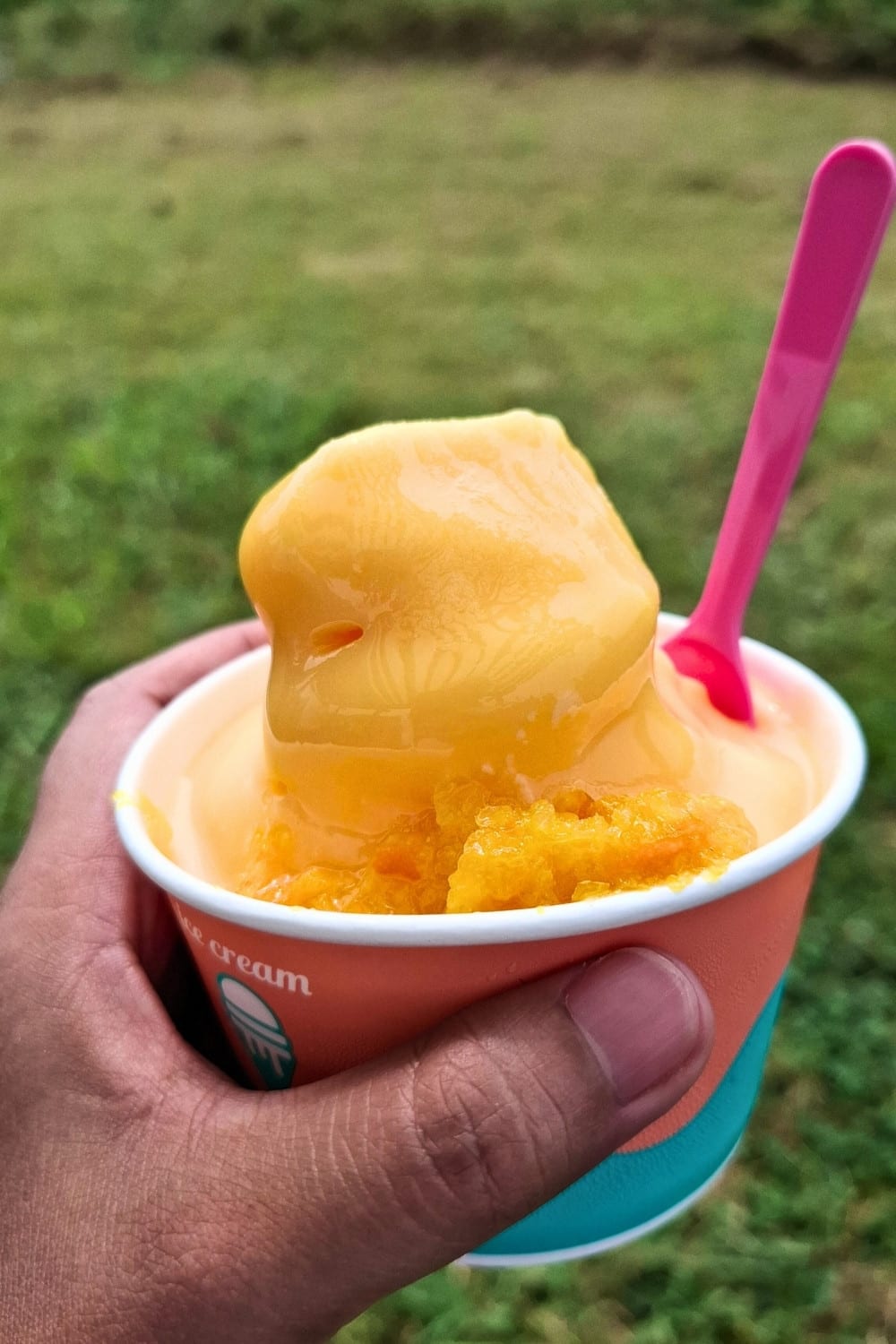 Tangerine Ice Cream