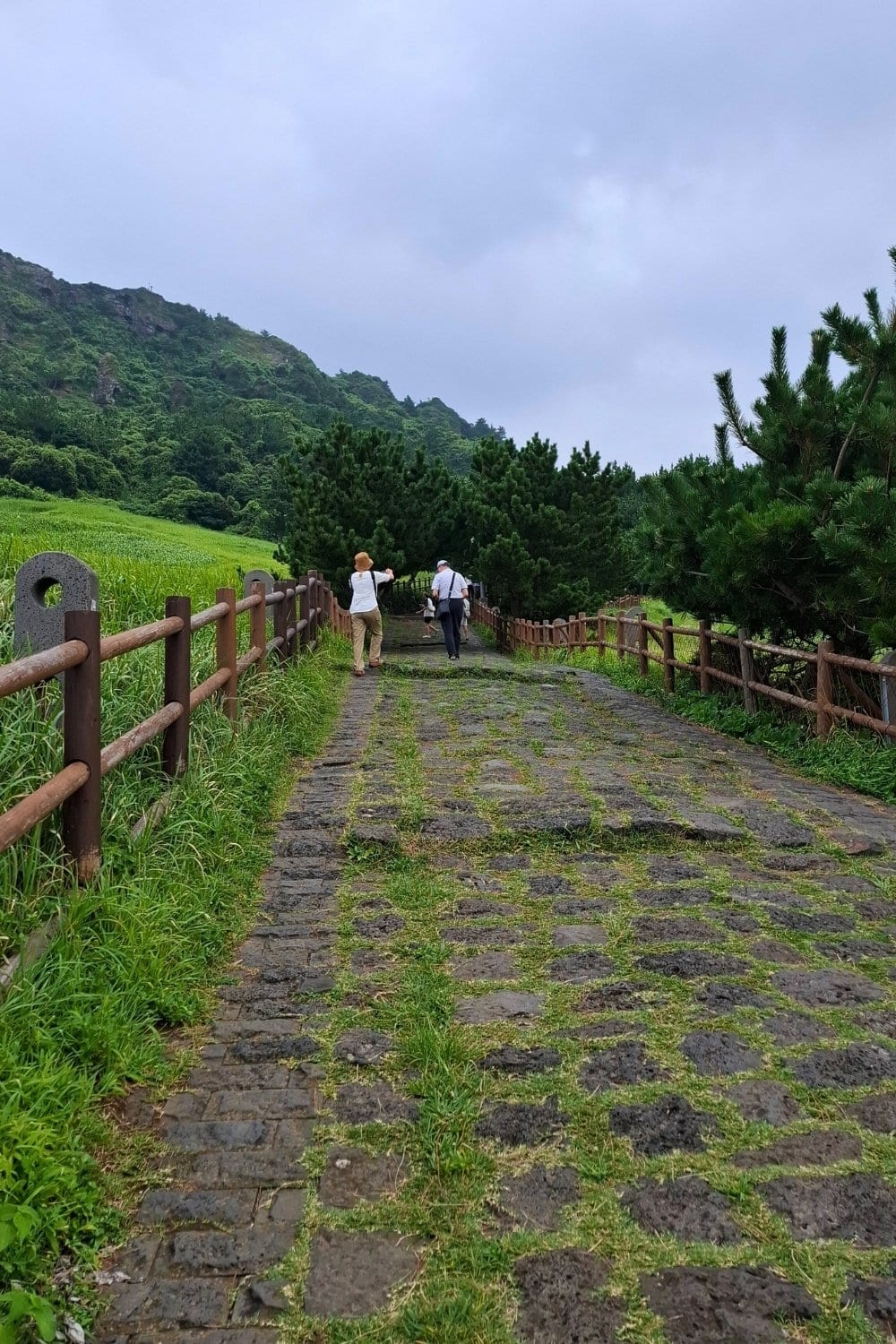 Trail to peak