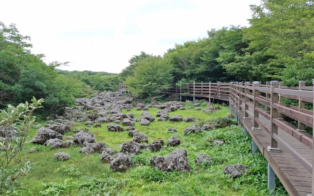 1100 Wetland Deck