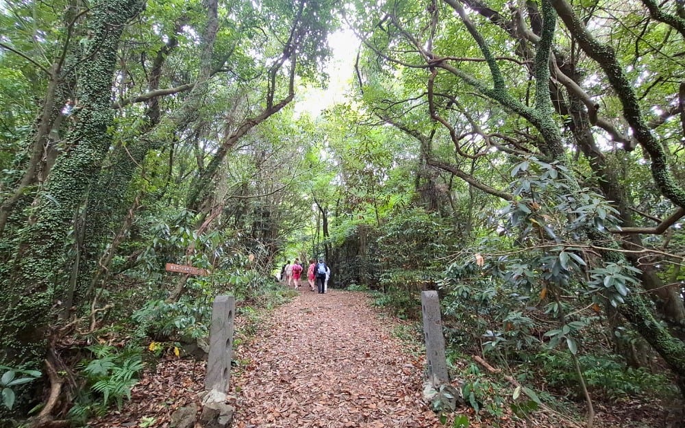 Hwangsang Forest trail