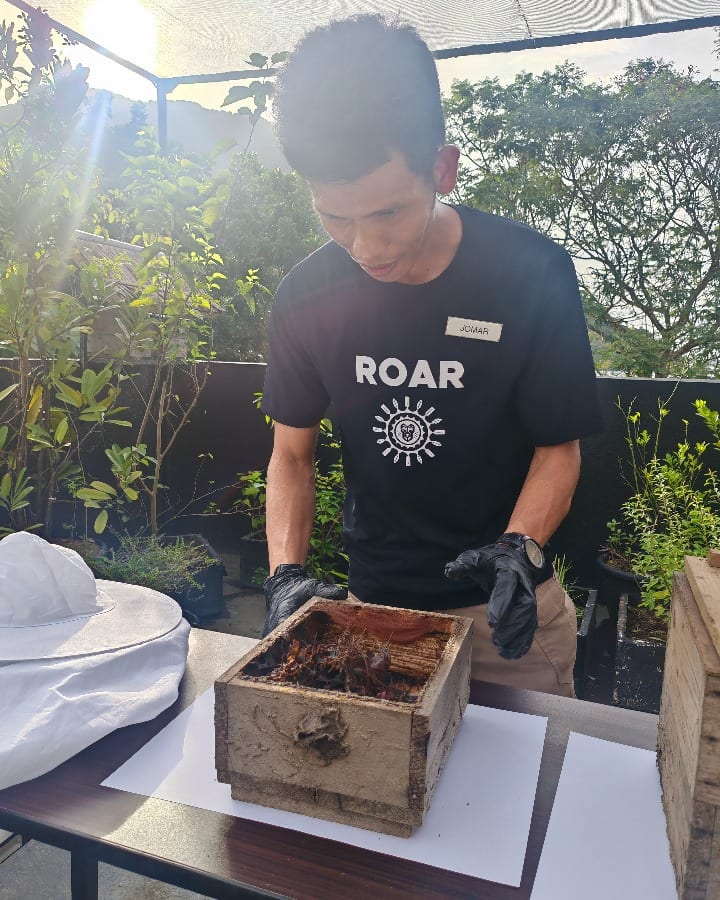 The Funny Lion El Nido beekeeper
