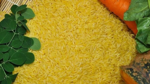 Golden Leave Rice golden rice on EsquireMag.ph